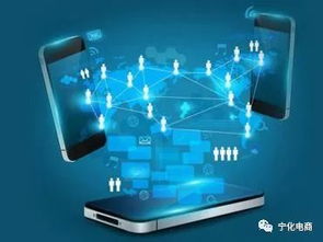 天貓平臺(tái)品牌號(hào)運(yùn)營(yíng)主體變更規(guī)則解析 電商生態(tài)治理的深化與賦能